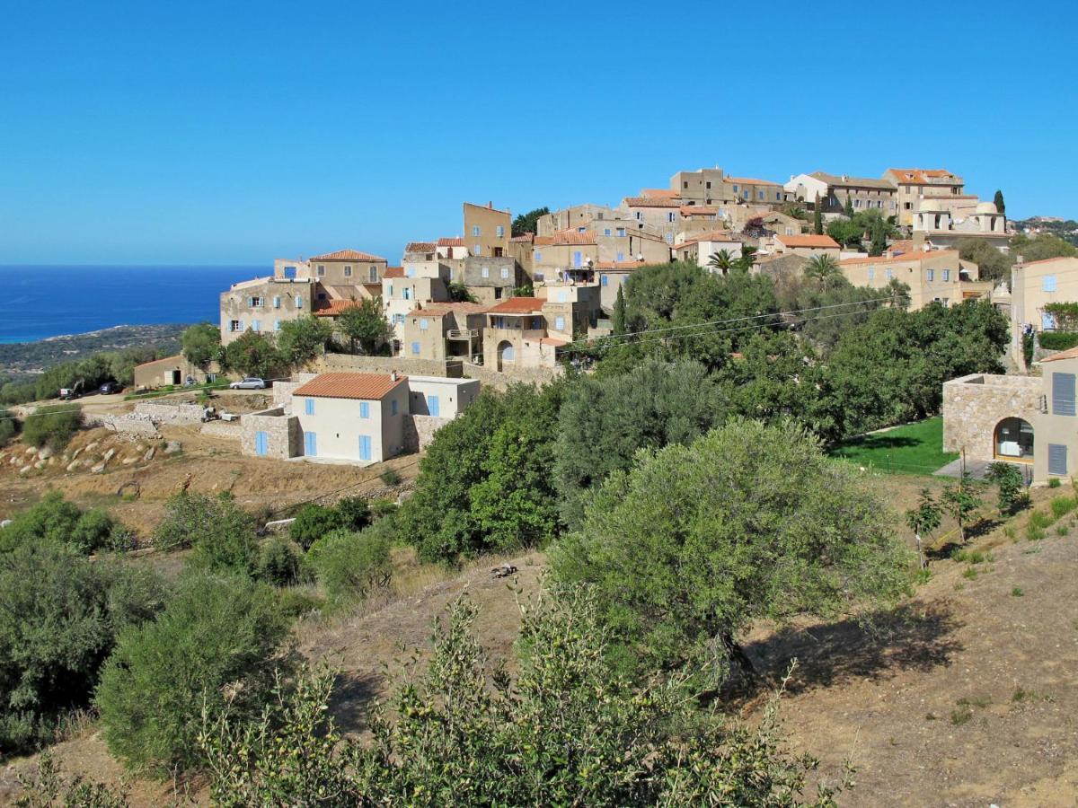 Holiday Home Tramariccia - CAL101 Calvi  Exterior foto